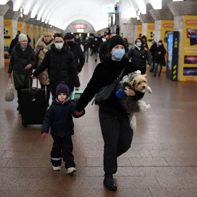 Ukrainians fleeing with dog