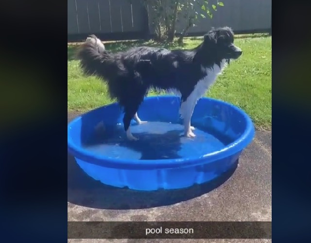 Winter in pool 