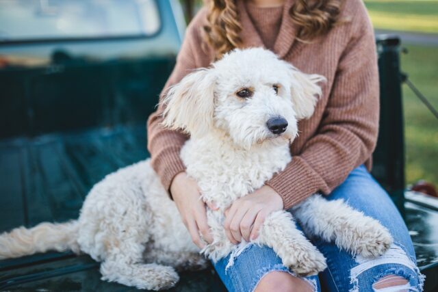 Woman cuddling fluffy dog