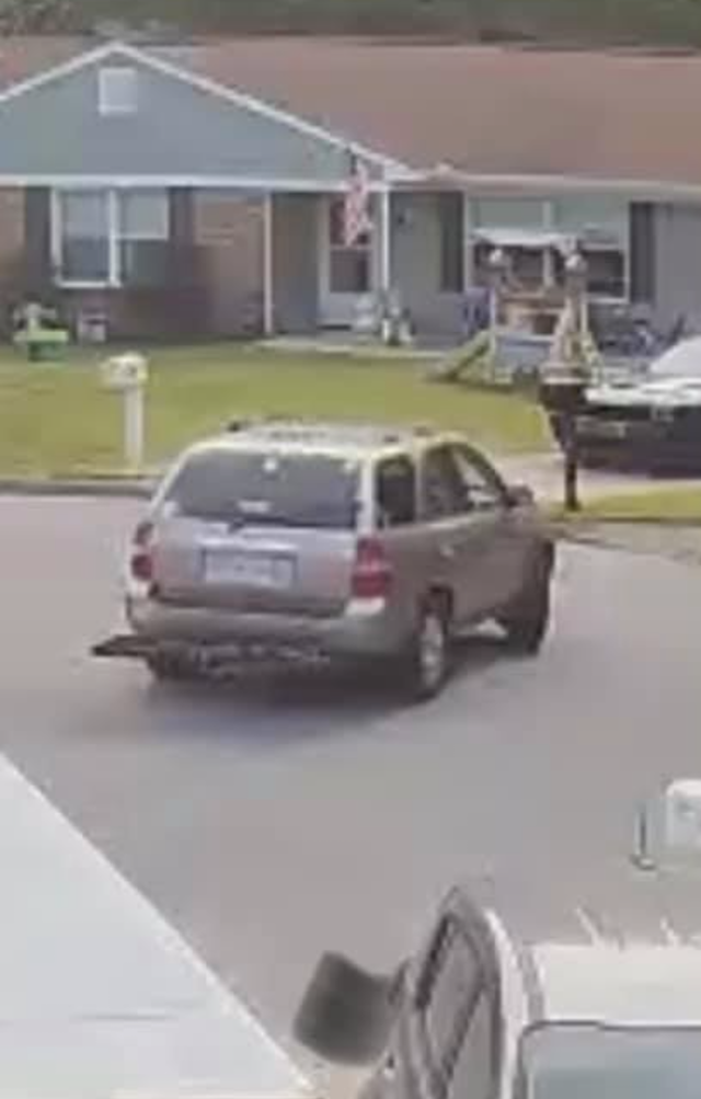 Car stealing Pit Bull