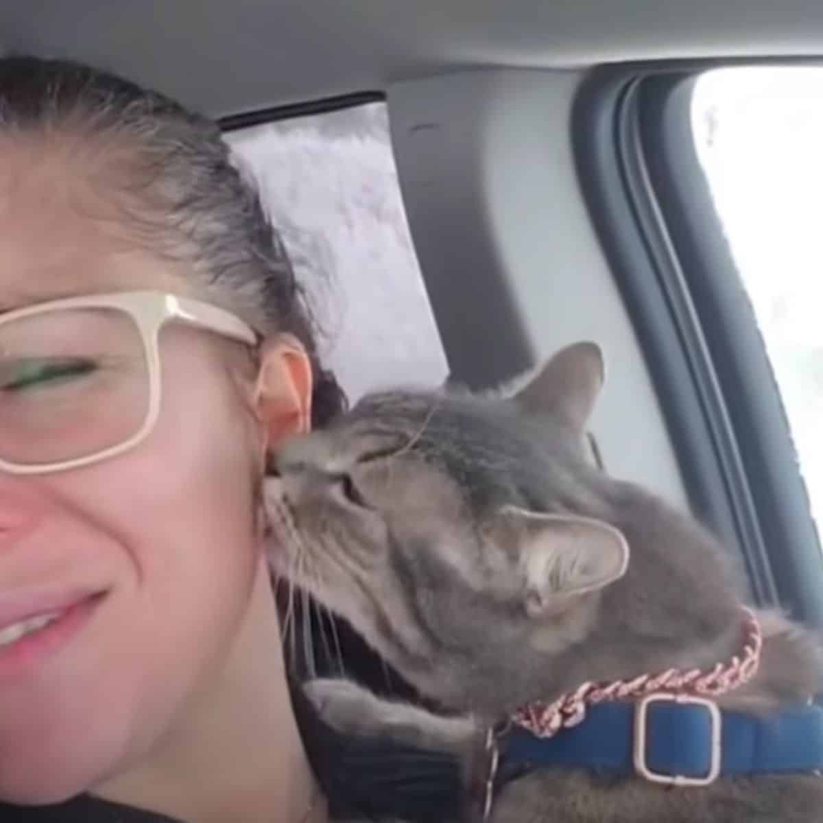 cat licking woman&rsquo;s face