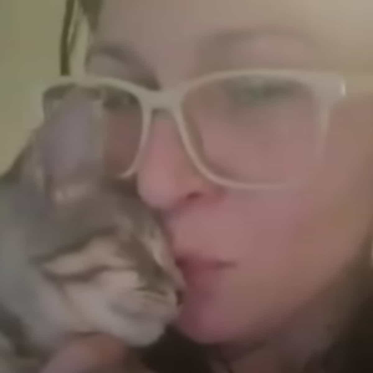 close-up photo of woman and stray cat