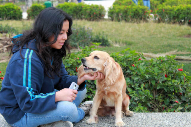 College student petting therapy dog