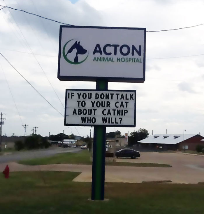 funny cat jokes vet clinic signs catnip