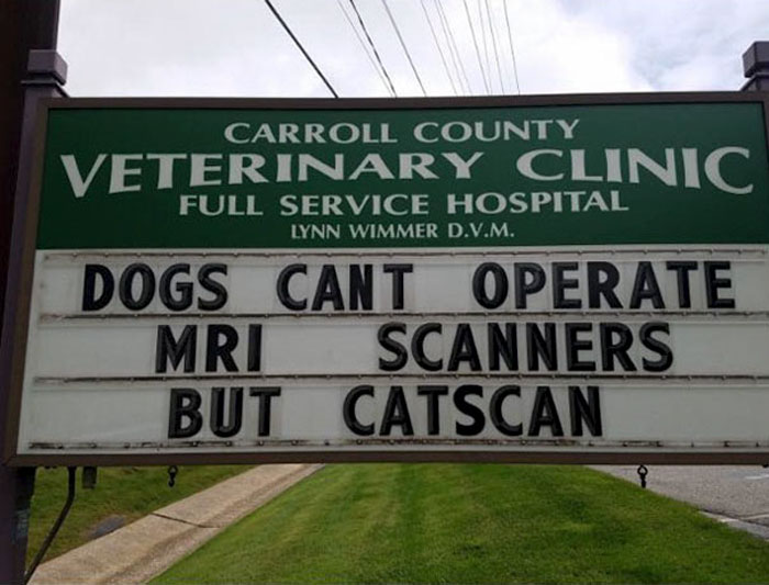 funny cat jokes vet clinic signs catscan