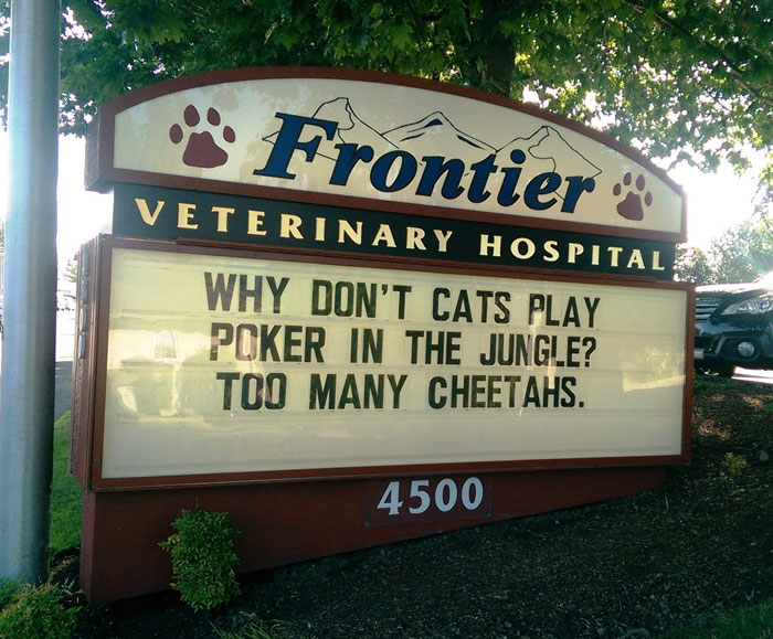 funny cat jokes vet clinic signs poker cheetahs