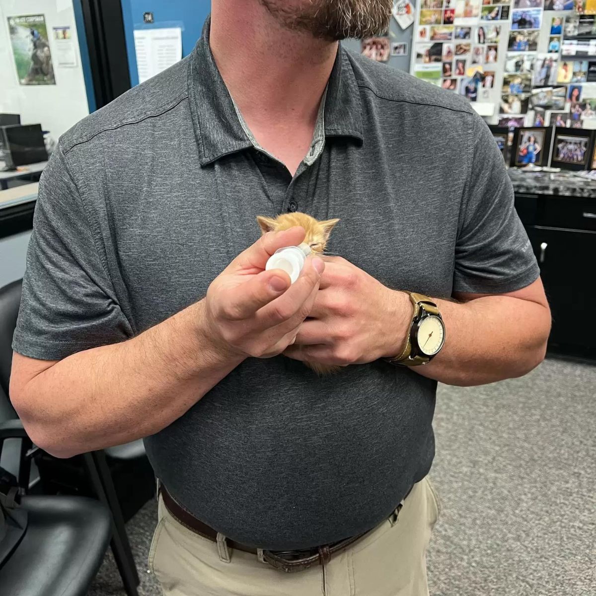 guy holding a kitten