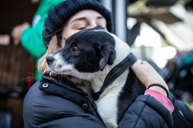 Hugging rescue dog