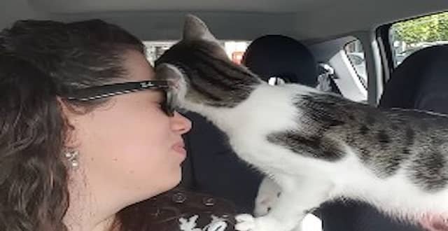 Henry the rescue cat was thrilled that he got to go to a new home - and showed it