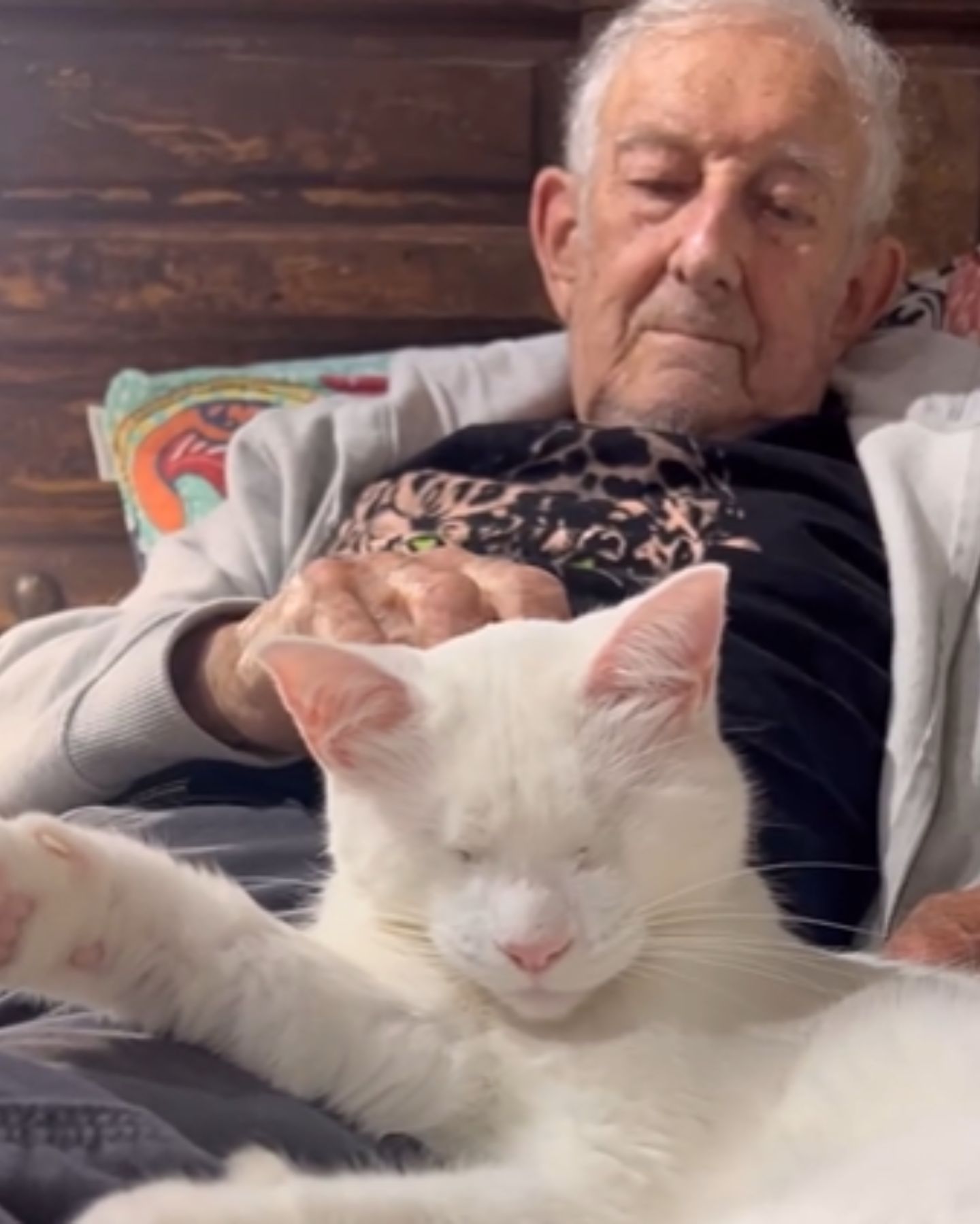 old man petting his cat