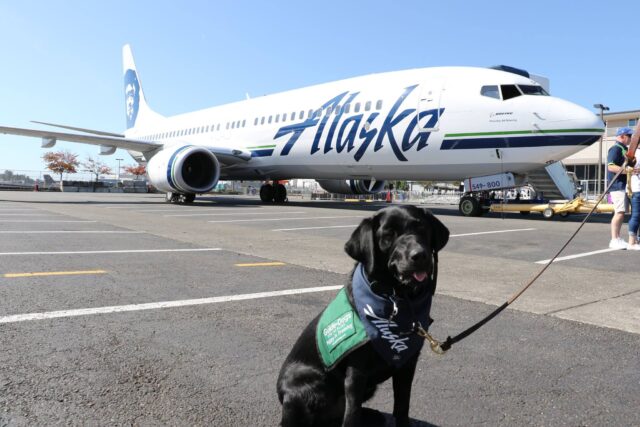 service dog Alaska flight