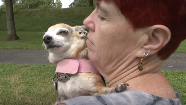 Woman hugging chihuahua